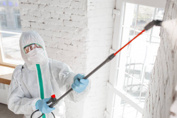 Best Airborne Mold Testing  in Granite Falls, MN