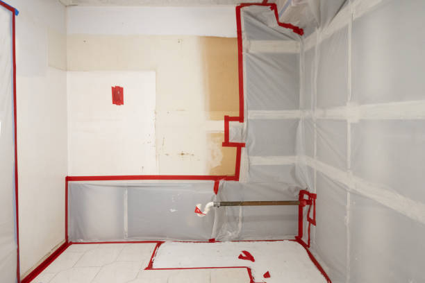 Trusted Granite Falls, MN Mold Removal Experts