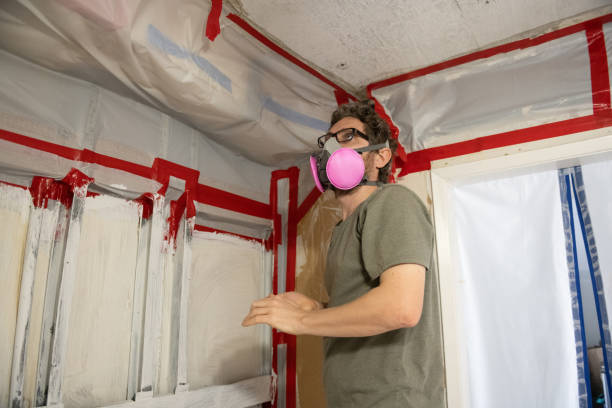 Best Comprehensive Air Testing for Mold Contaminants  in Granite Falls, MN