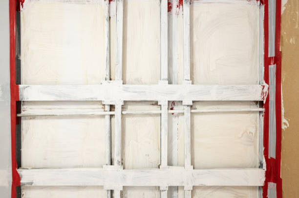 Best Water Damage & Mold Remediation  in Granite Falls, MN