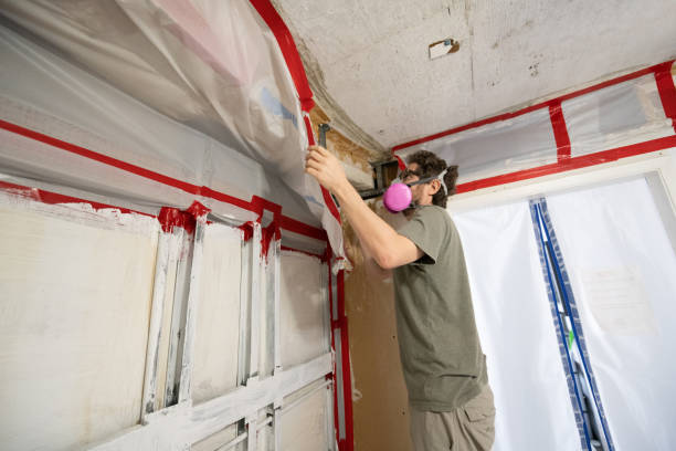 Best Mold Damage Restoration  in Granite Falls, MN