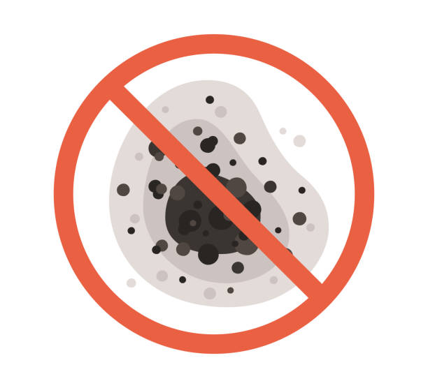 Best Air Quality Testing for Mold Spores  in Granite Falls, MN