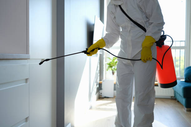 Best Crawl Space Mold Remediation  in Granite Falls, MN