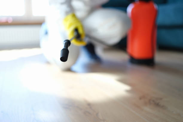 Best Post-Remediation Verification Testing  in Granite Falls, MN