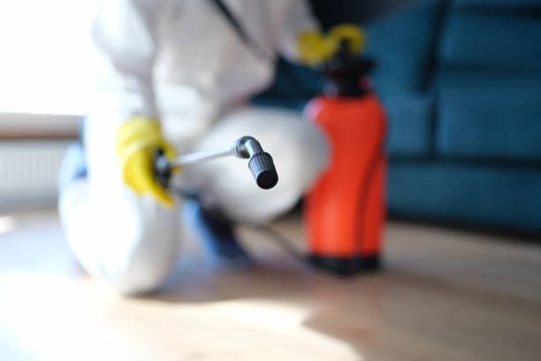 Best Environmental Consulting for Mold Prevention  in Granite Falls, MN