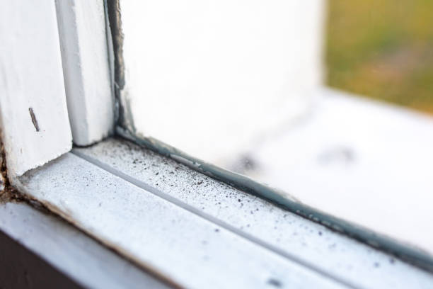 Best HVAC Mold Inspection and Cleaning  in Granite Falls, MN